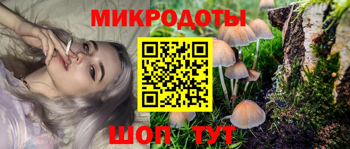 Галлюциногенные грибы Cubensis  Галлюциногенные грибы Cubensis  Вход с VPN  Петропавловск-Камчатский 